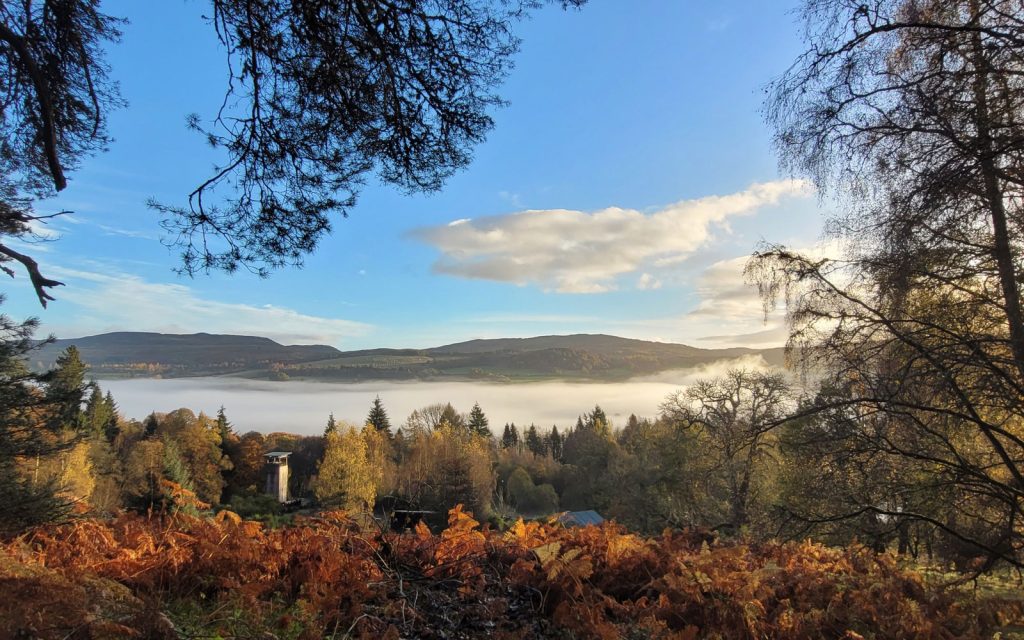 View overlooking the forest and activity areas of PGL Dalguise with atmospheric mist.