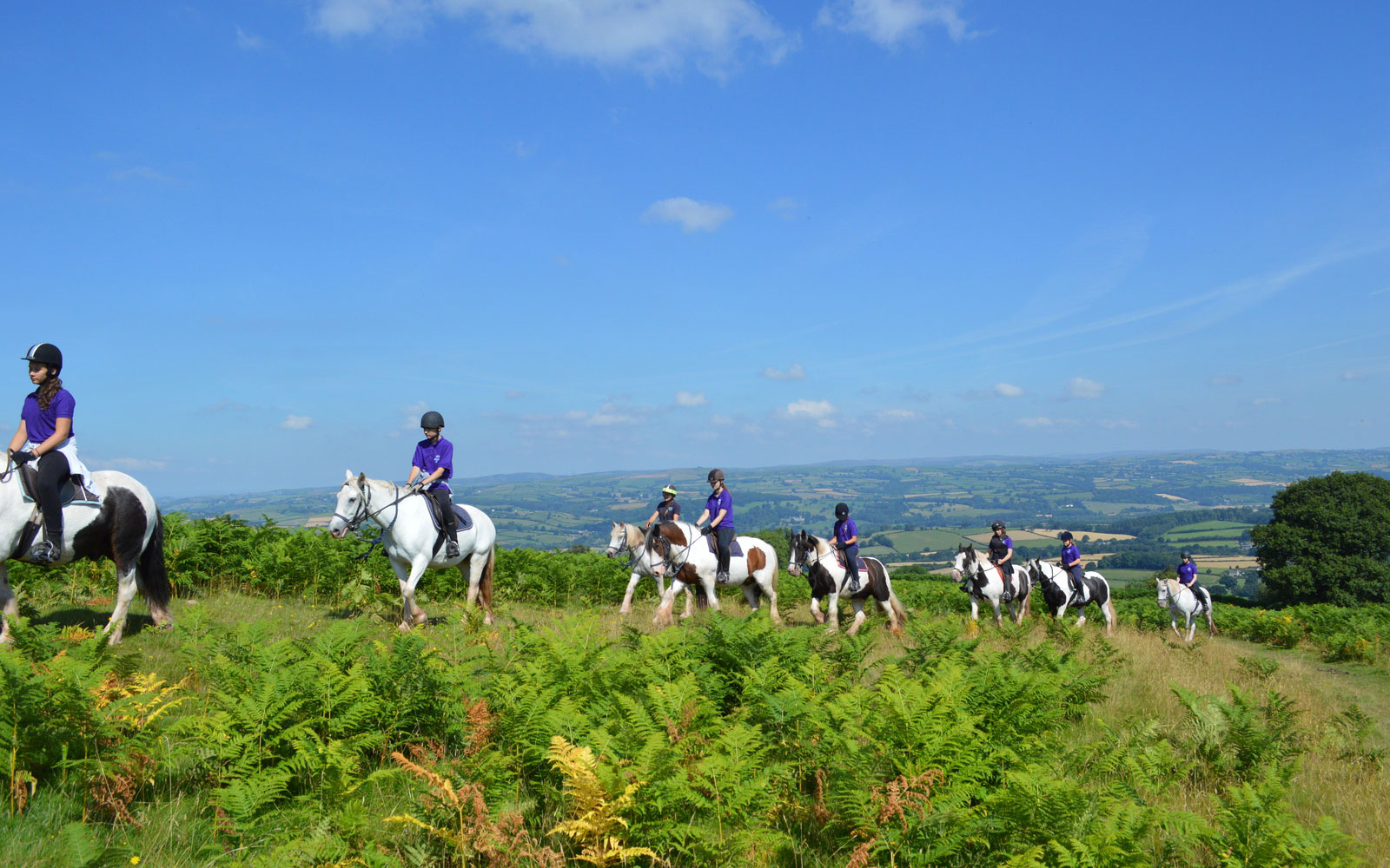 A PGL group horse riding on the Brecon Beacons